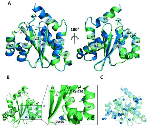 fefab|Single residue mutation in integrase catalytic core domain affects ...